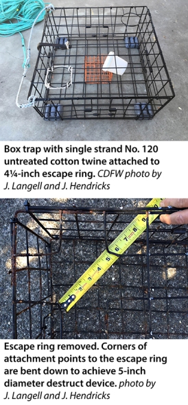 crab trap and opening