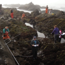 researchers in intertidal zone