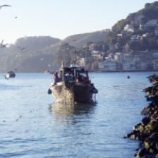 herring boat
