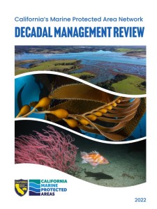 cover of the Decadal Management Review
